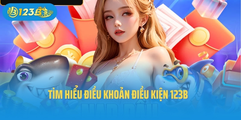 Tìm hiểu điều khoản điều kiện 123B